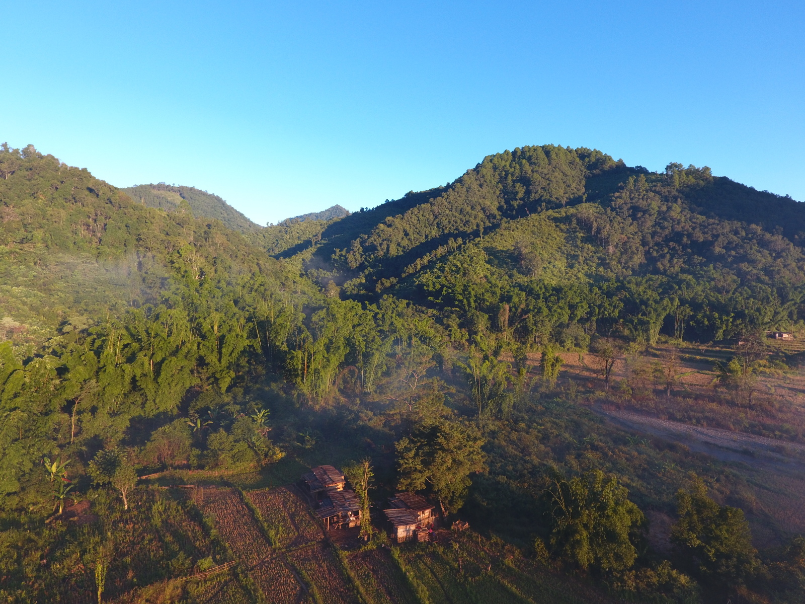 Forested hills above a small village and terraced fields at dawn