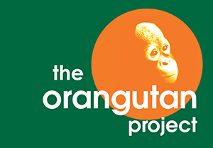 The Orangutan Project logo