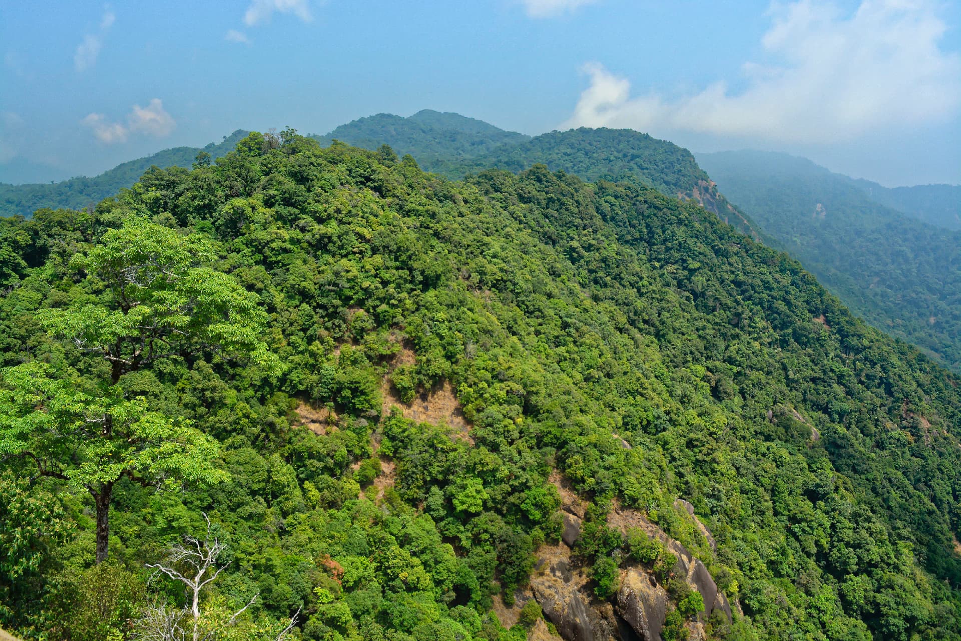 Forested mountain ridges stretching to the horizon in Kawthoolei
