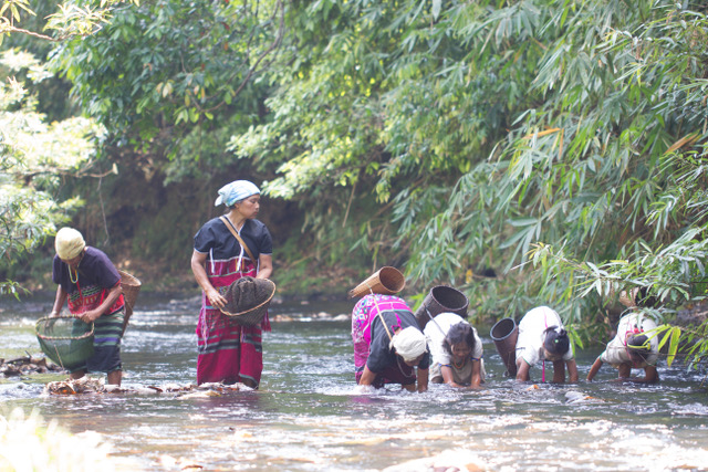 Community members fishing together in a forest river in Kawthoolei